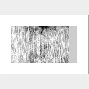 black and white gray wood grain background Posters and Art